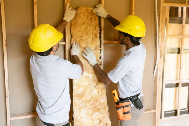 Best Insulation for New Construction  in Star, ID
