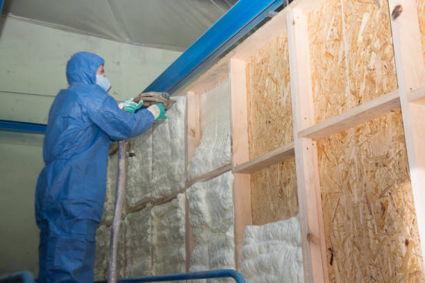 Insulation Inspection Services in Star, ID