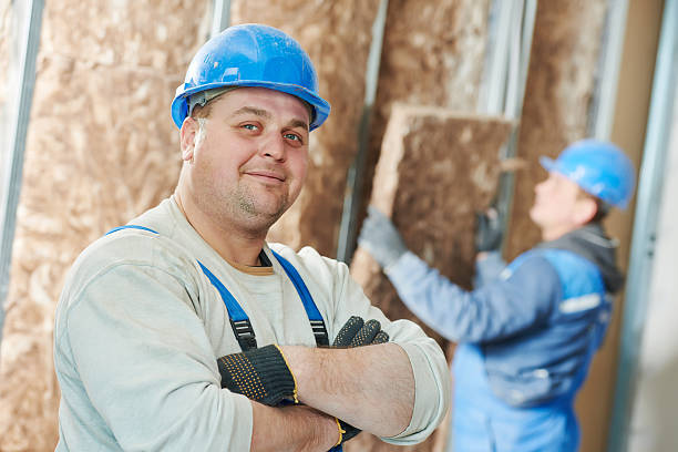 Best Professional Insulation Contractor  in Star, ID
