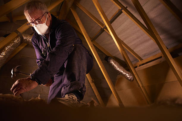 Best Insulation Contractors for Homes  in Star, ID