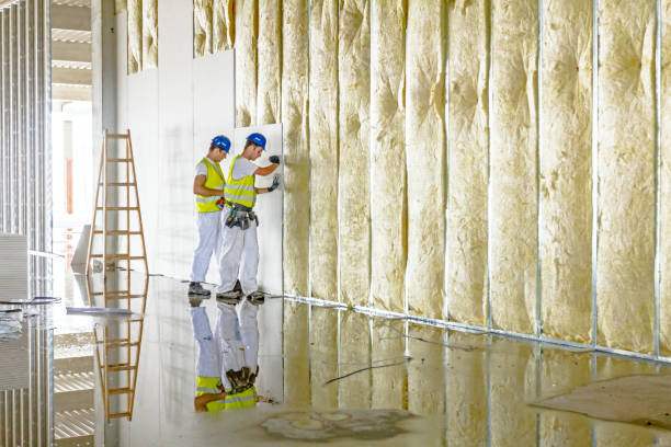 Best Insulation for Commercial Buildings  in Star, ID